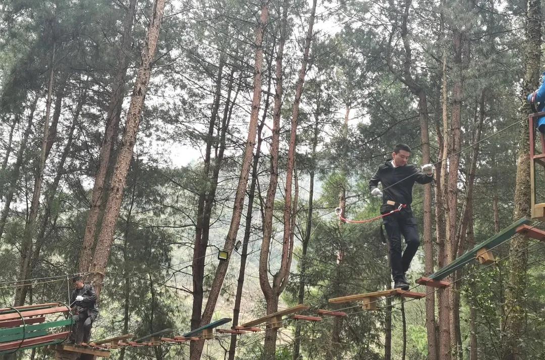 图片4.jpg 图片4.jpg